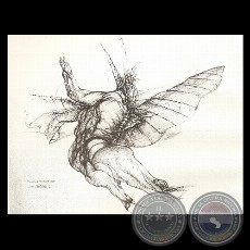 PHERAPOLOGIAE MERIDIONALIS II, 1996 (Dibujo de LUIS ALBERTO BOH)